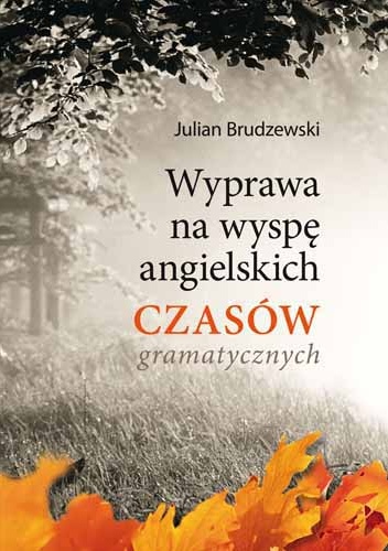 Cover of Wyprawa na wyspę angielskich czasów gramatycznych
