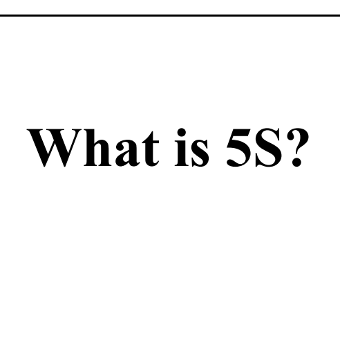 Cover of What is 5S?